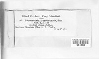 Image Associated With the Occurence